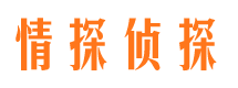 拜城侦探公司